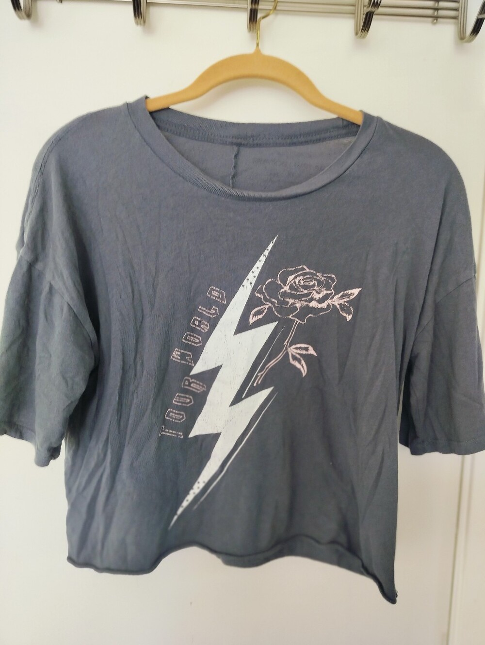 Grayson Threads Rock N Roll World Tour Graphic Crop Top Tee Gray Medium